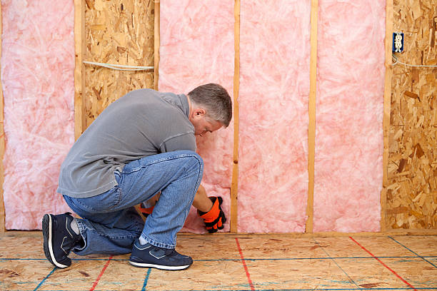 Best Specialized Insulation Services in , VA