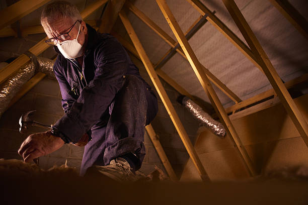 Best Cellulose Insulation in , VA
